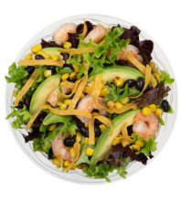 Caribbean Shrimp Image
